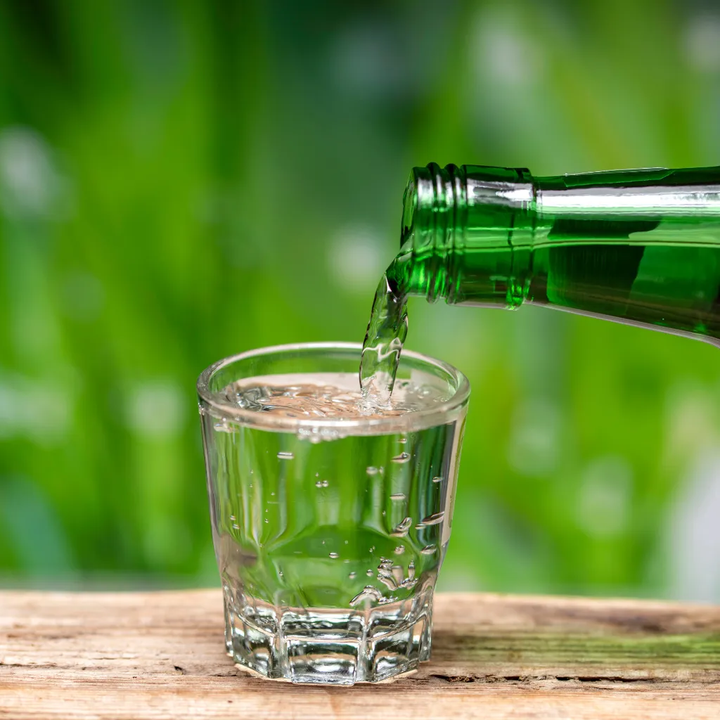 Hitejinro Co. Ltd. HITEJINRO Chamisul Soju Original | Koreanische Spirituose Alc. 20,1% Vol. 350ml 4 Hitejinro Co. Ltd. HITEJINRO Chamisul Soju Original | Koreanische Spirituose Alc. 20,1% Vol. 350ml – Bild 4