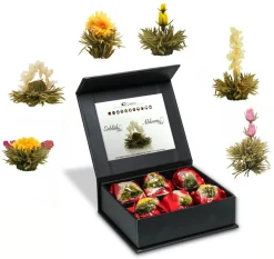 Creano Teeblumen Mix 6er ErblühTee "Weißer Tee" In Edeler Magnetbox Mit Silberprägung