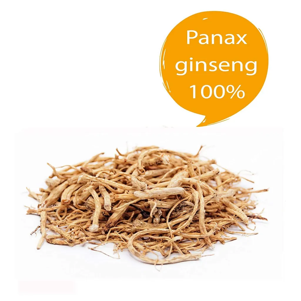 Herbanordpol Panax Ginseng Wurzel Ganz 100G 2 Herbanordpol Panax Ginseng Wurzel Ganz 100G – Bild 2