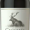Vino Nobile Di Montepulciano DOCG Cacciata Castellani Toskana Rotwein Trocken