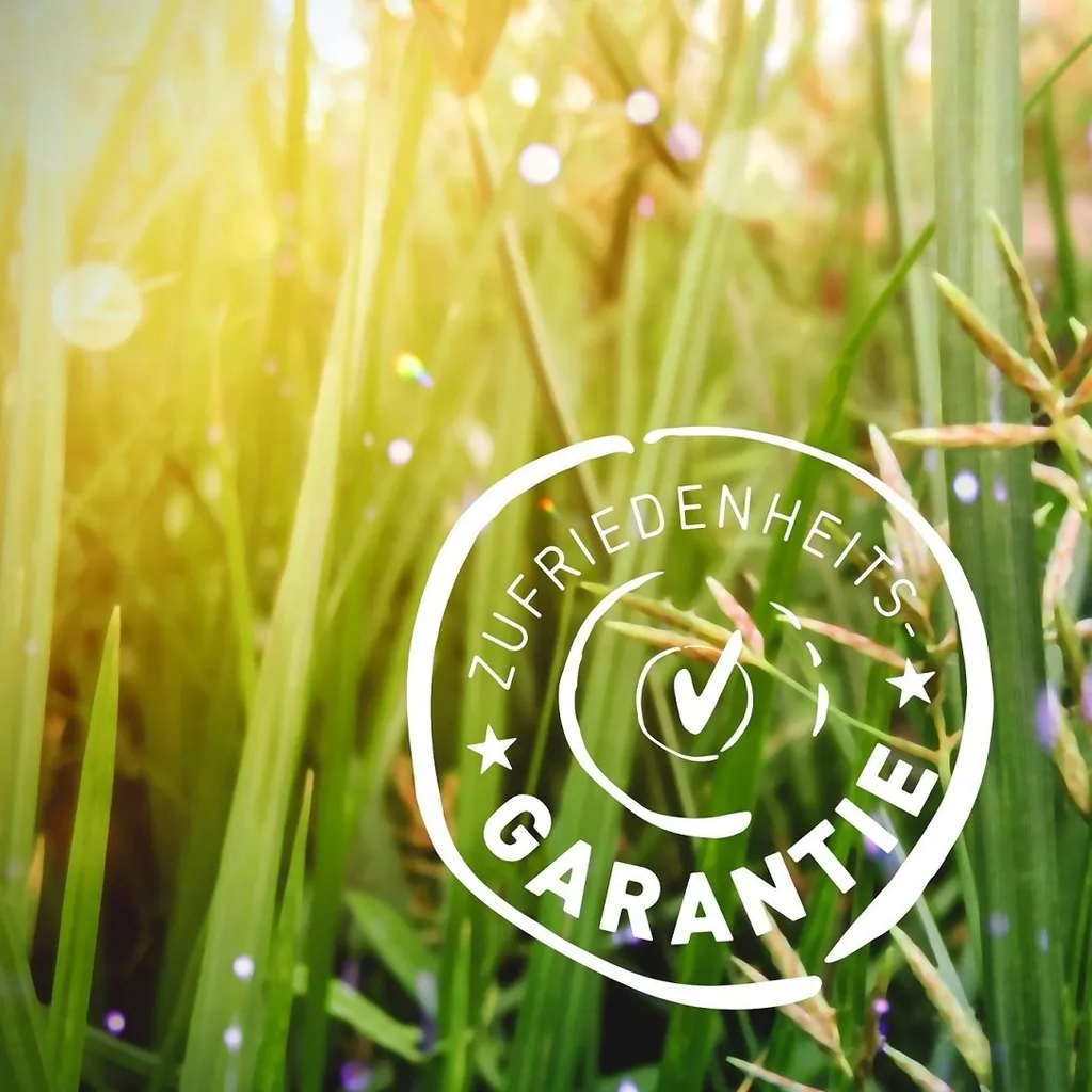 Biotiva Anis-Fenchel-Kümmel Tee 200g Aus Biologischem Anbau 6 Biotiva Anis-Fenchel-Kümmel Tee 200g Aus Biologischem Anbau – Bild 6