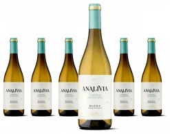 Pagos Del Rey 6 X Analivia Verdejo Selección