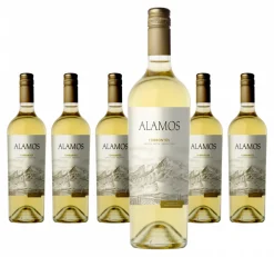 6 X Alamos Torrontés