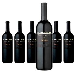 6 X Elena Walch Lagrein Alto Adige DOC – 2021