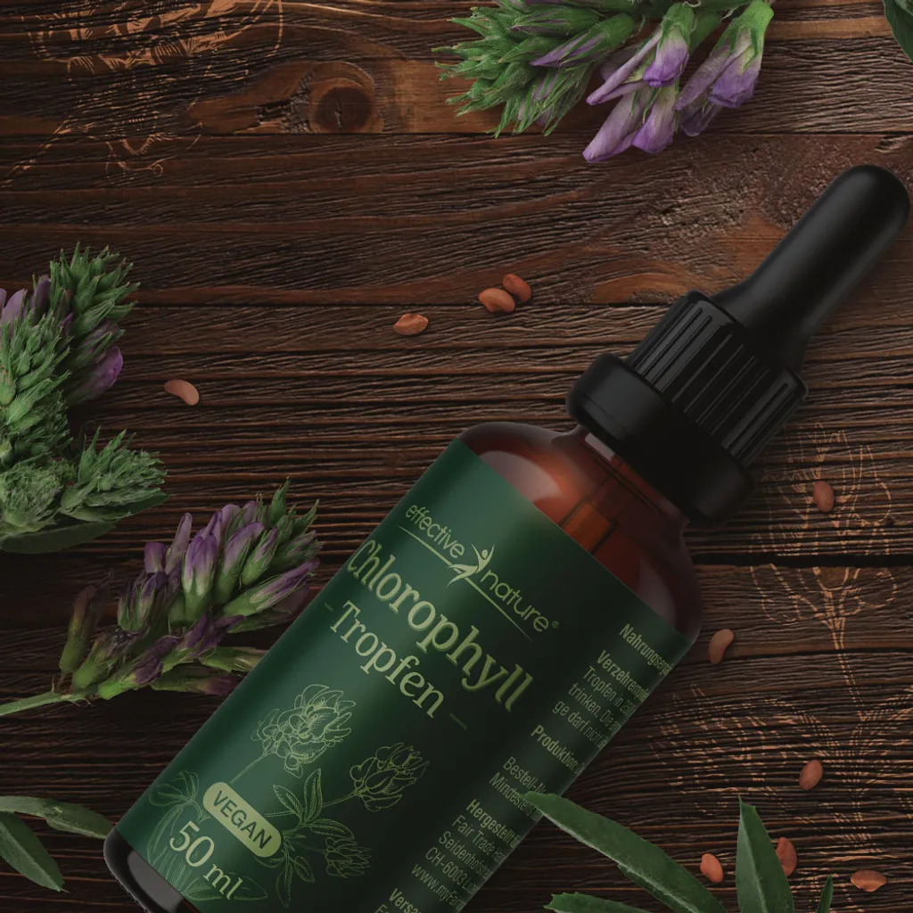 Effective Nature - Liquid Chlorophyll Tropfen Aus Alfalfa - 50 Ml - Ohne Konservierungsstoffe - Besonders Natürliches, Flüssiges Chlorophyll 5 Effective Nature - Liquid Chlorophyll Tropfen Aus Alfalfa - 50 Ml - Ohne Konservierungsstoffe - Besonders Natürliches, Flüssiges Chlorophyll – Bild 5