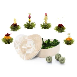 Creano 6er ErblühTee In Herz-Holzschachtel „Grüner Tee“