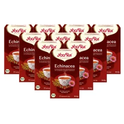 10 X BIO YOGI TEA Echinacea | 10 X 30,6g