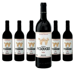 6 X Tinto Pesquera Reserva