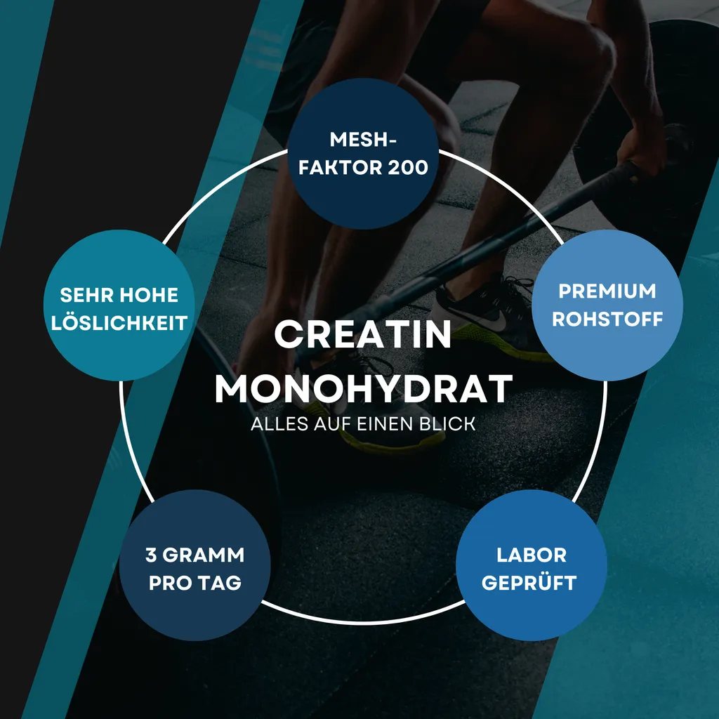 JustPowR 100% Creatin Monohydrat 450g, Labores Hochdosiertes Kreatin Monohydrat | Ultrafeines Premium Creatine Monohydrate Pulver | Kraftraining 2 JustPowR 100% Creatin Monohydrat 450g, Labores Hochdosiertes Kreatin Monohydrat | Ultrafeines Premium Creatine Monohydrate Pulver | Kraftraining – Bild 2