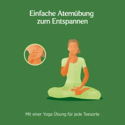 Yogi Tea Tulsi Gelassenheit Gewürztee 17 Stk -Essen Verkäufe 45dee45c014a668521e82aadaa51895d