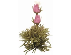 Creano Teeblumen Mix 18er ErblühTee Weißer Tee In Edeler Magnetbox Mit Sichtfenster & Silberprägung -Essen Verkäufe 47a63bfb21d6593a640fe687956d5141