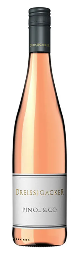 Weingut Dreissigacker Dreissigacker Pino_ & Co. Rosé 2021 (0,75l) Trocken 2 Weingut Dreissigacker Dreissigacker Pino_ & Co. Rosé 2021 (0,75l) Trocken – Bild 2