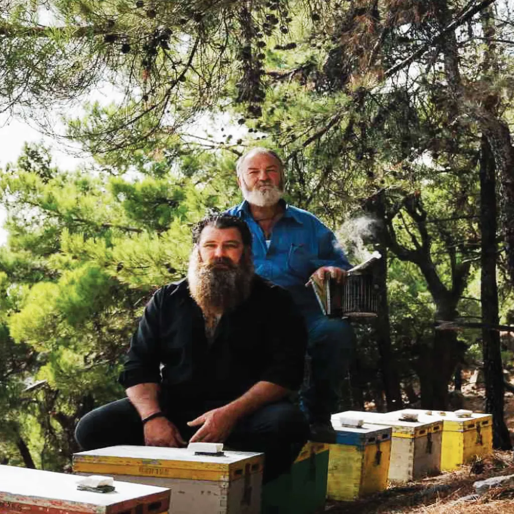 JT-Lizenzen 400g Glas Wildkräuterhonig Golden Melostalia Archontakis Aus Kreta Griechenland 7 JT-Lizenzen 400g Glas Wildkräuterhonig Golden Melostalia Archontakis Aus Kreta Griechenland – Bild 7