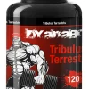 Varg Power Dyanabol Tribulus Terrestris 120 Kapseln