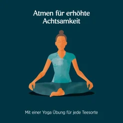 10 X BIO YOGI TEA Lakritz Minze | 10 X 30,6g -Essen Verkäufe 5bb7148a3700d1bfdc539550b4f44784