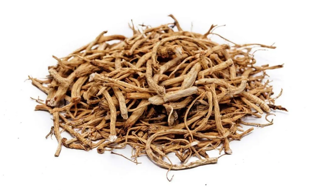 Herbanordpol Panax Ginseng Wurzel Ganz 100G 4 Herbanordpol Panax Ginseng Wurzel Ganz 100G – Bild 4