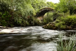 The Glenlivet 18 Jahre Single Malt Scotch Whisky In Geschenkpackung | 40 % Vol | 0,7 L -Essen Verkäufe 5d8d523c42ebe86254561ebe4661c33c