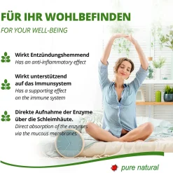 AMTEC MoriVeda® - Graviola Presslinge 120 X 2000mg Frucht Extrakt 4:1 Vegan, – Sauersack (1x120 Tabs) -Essen Verkäufe 6420641314ec07d4d7e3b95338072faf