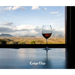 Campo Viejo Rioja Tempranillo Trocken | 13 % Vol | 0,75 L -Essen Verkäufe 7233651d7ded20f398455602c9d6f959