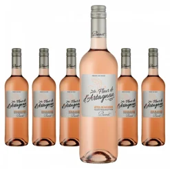 6 X Plaimont Fleur De D´Artagnan Rosé Producteurs Plaimont Côtes De Gascogne