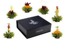Creano Magnetbox 6er ErblühTee Grüntee -Essen Verkäufe 792f0c11a64e9b5244a22d7ae151fa72