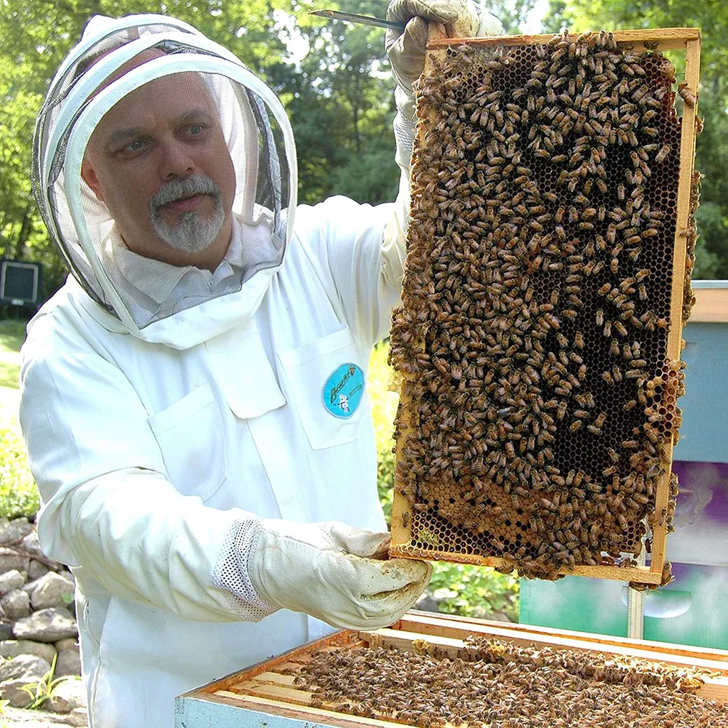 PowerFabrik Einfach Natürlich Manuka Honig | MGO 550+ | 500g | HALAL | Das ORIGINAL Aus NEUSEELAND | PUR, ROH & | 100% Natürlich | INKL. GRATIS HONIGLÖFFEL Aus Holz | PowerFabrik 6 PowerFabrik Einfach Natürlich Manuka Honig | MGO 550+ | 500g | HALAL | Das ORIGINAL Aus NEUSEELAND | PUR, ROH & | 100% Natürlich | INKL. GRATIS HONIGLÖFFEL Aus Holz | PowerFabrik – Bild 6