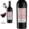 6er Karton 2020 Terre Métissée Von Vinovalie - Rotwein