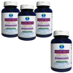 VitalLeben Guggul Indische Myrrhe Ayurveda Guggulsterone 720 (4x180) Pulver Kapseln
