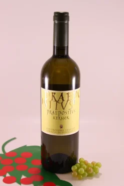 Kerner Praepositus - 2021 - Klosterkellerei Neustift