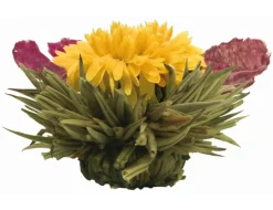 Creano Teeblumen Mix 18er ErblühTee Weißer Tee In Edeler Magnetbox Mit Sichtfenster & Silberprägung -Essen Verkäufe 958628de2b40ddc326f37bf7301d987f