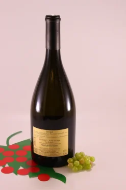 Sauvignon Winkl - 2022 - Kellerei Terlan Südtirol -Essen Verkäufe 96abd8aad71e1fb36fe2895c1741f3ad
