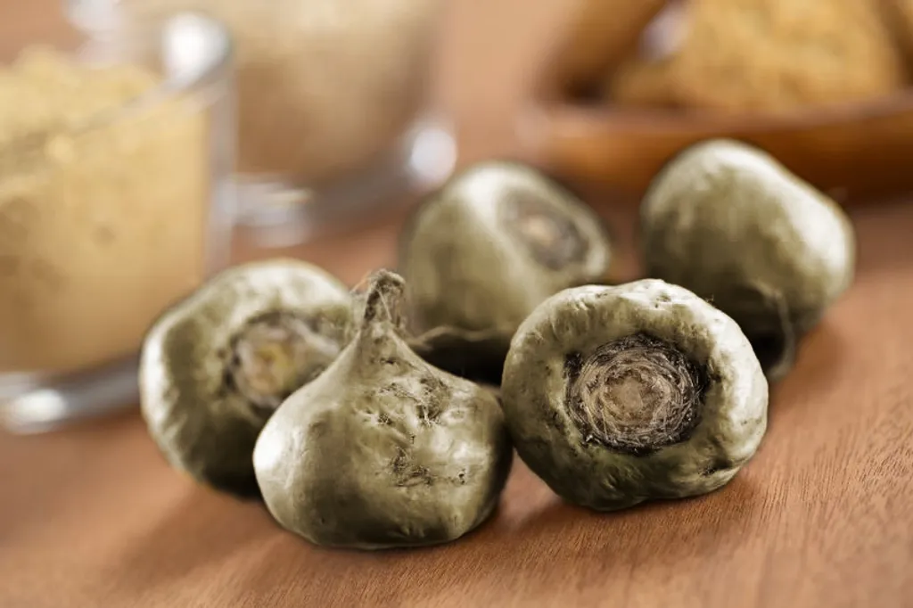 Alphavitalis Maca Schwarz | Vegan | 180 Kapseln | 4:1 Schwarzer Maca-Extrakt | | Labor | Ohne Magnesiumstearat 4 Alphavitalis Maca Schwarz | Vegan | 180 Kapseln | 4:1 Schwarzer Maca-Extrakt | | Labor | Ohne Magnesiumstearat – Bild 4