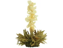 Creano Teeblumen Mix 18er ErblühTee Weißer Tee In Edeler Magnetbox Mit Sichtfenster & Silberprägung -Essen Verkäufe b48764625ed33ecafc0c5870911fe244