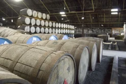 The Ardmore Legacy Highland Single Malt Whisky In Geschenkpackung | 40 % Vol | 0,7 L 13 The Ardmore Legacy Highland Single Malt Whisky In Geschenkpackung | 40 % Vol | 0,7 L -Essen Verkäufe b4a596c7c85a0c5c8008fa2a2cd6262f