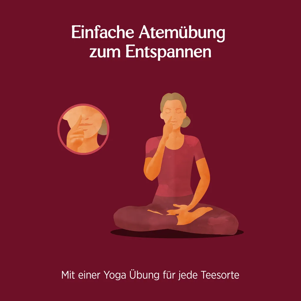 10 X BIO YOGI TEA Ingwer Hibiskus | 10 X 34g 4 10 X BIO YOGI TEA Ingwer Hibiskus | 10 X 34g – Bild 4