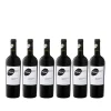 Cantina Tollo Rotwein Italien Montepulciano Sassopiano Trocken (6x0,75l)