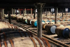 The Glenlivet 18 Jahre Single Malt Scotch Whisky In Geschenkpackung | 40 % Vol | 0,7 L -Essen Verkäufe c3311b550b8391450fe5e042fa084378