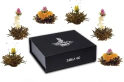 Creano Magnetbox 6er ErblühTee Schwarzer Tee