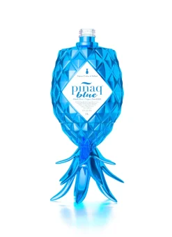 Pinaq Liqueur Blue 1,0l, Alc. 17 Vol.-%, Likör Niederlande -Essen Verkäufe c70ffc7d53dcf2b0ac55f54e95330b03