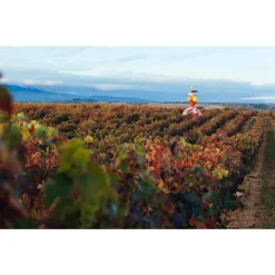 Campo Viejo Rioja Tempranillo Trocken | 13 % Vol | 0,75 L -Essen Verkäufe c805e11a762d22cf0a4338dc628e483a