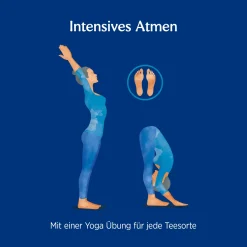 10 X BIO YOGI TEA Atemtee | 10 X 30,6g -Essen Verkäufe cab0658d1f86ae8039a0f47f01c7a30d