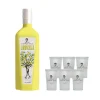 Mixcompany Don Pasquale Set Limoncello 0,7L (30% Vol) + 6x Shotglas Gläser Gratis - Likör Limoncello Zitrone - [Enthält Sulfite]