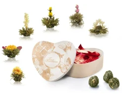 Creano Erblühtee Teeblumen In Holzschachtel In Herzform 6 Sorten Aus Weißer Tee, Geschenk Für Frauen, Mutter, Teeliebhaber