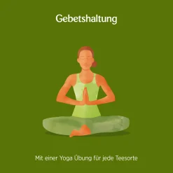 10 X BIO YOGI TEA Basische Kräuter | 10 X 35,7g -Essen Verkäufe ddeaf24b82130a383f66f243dad5080f