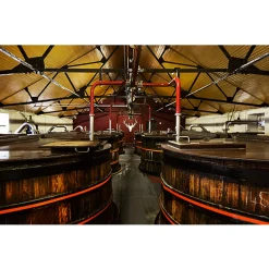 Dalmore 12 Jahre Highland Single Malt Scotch Whisky In Geschenkpackung | 40 % Vol | 0,7 L -Essen Verkäufe de5e2c93e81bb7966e532a42089b9b1b