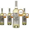 Pagos Del Rey 6 X Blume Verdejo Viura Rueda