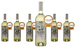 Pagos Del Rey 6 X Blume Verdejo Viura Rueda