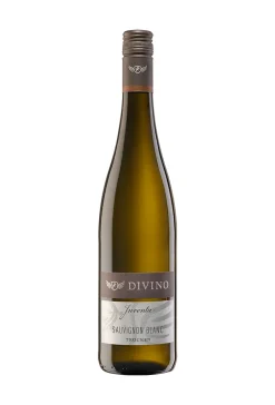 DIVINO Nordheim Thüngersheim EG 2021 DIVINO Sauvignon Blanc Trocken QbA JUVENTA Weiß