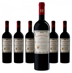 Vinicola Botter 6 X Doppio Passo Primitivo