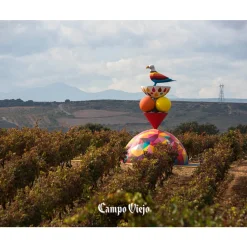 Campo Viejo Rioja Tempranillo Trocken | 13 % Vol | 0,75 L -Essen Verkäufe f953f0af592a00411ee912730ed50197